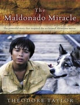 ���� ����������