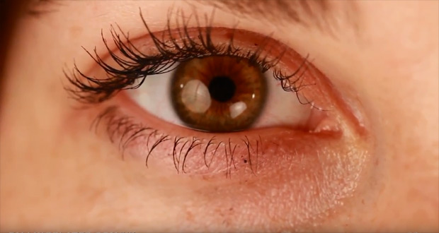 �������� �������