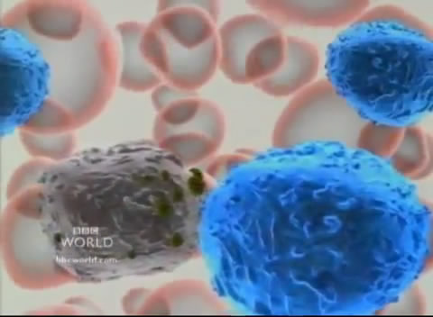 ������� �� ��������� ������������� ��������������� ����������