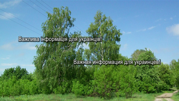 �� ������� �� ������ � �������