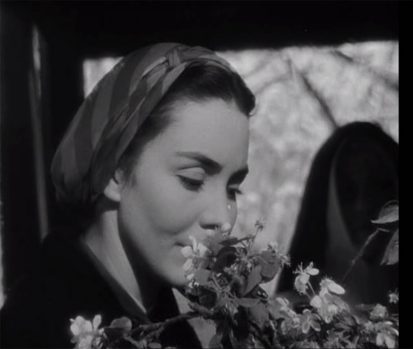 ����� ���������