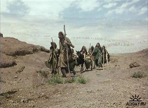 ���������� ��������: ������