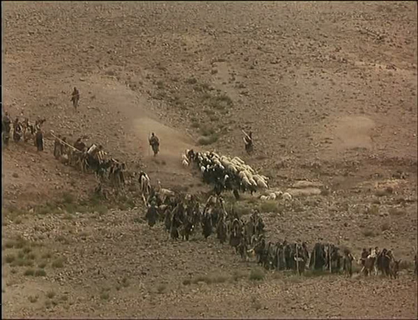 ���������� ��������: ������