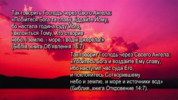 ���� � ���� � �������