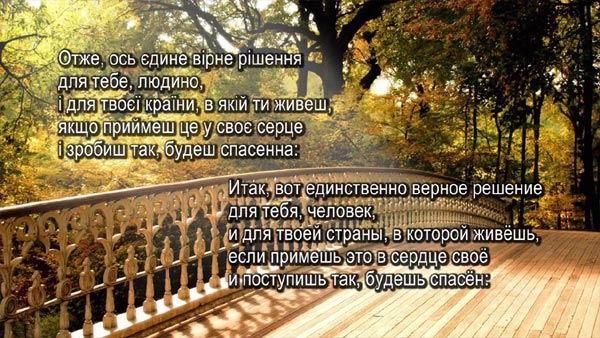 ���� � ���� � �������