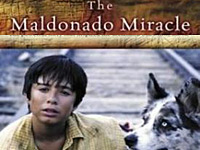 ���� ����������