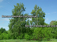 �� ������� �� ������ � �������